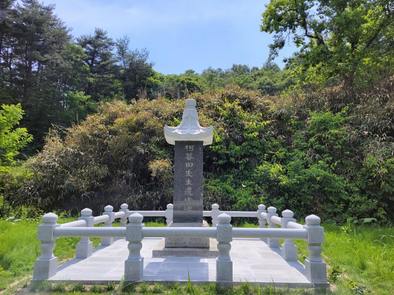 갤러리 사진